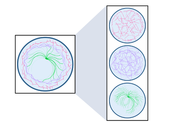 Artificial cytoskeleton networks in confined environments